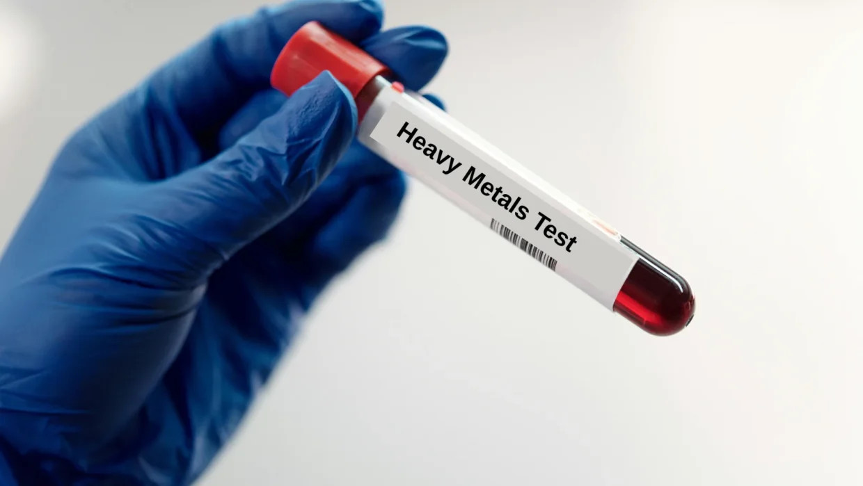 Impact of Heavy Metals in Your Food