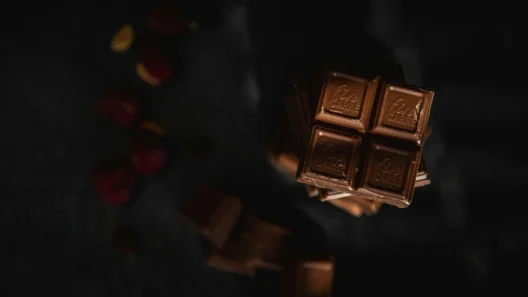 Dark Chocolate Truth